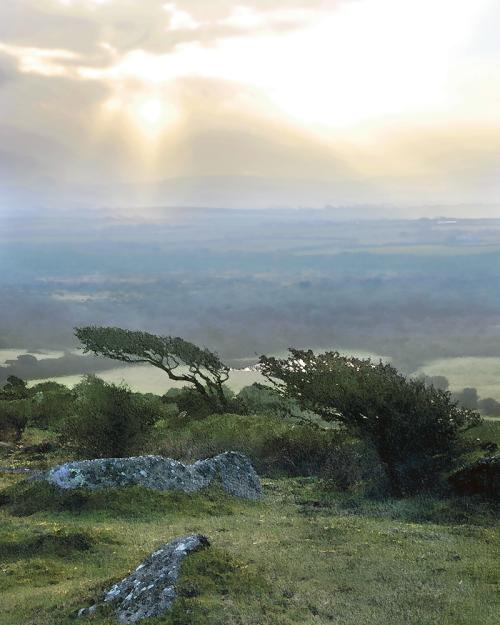 Helman Tor Portrait